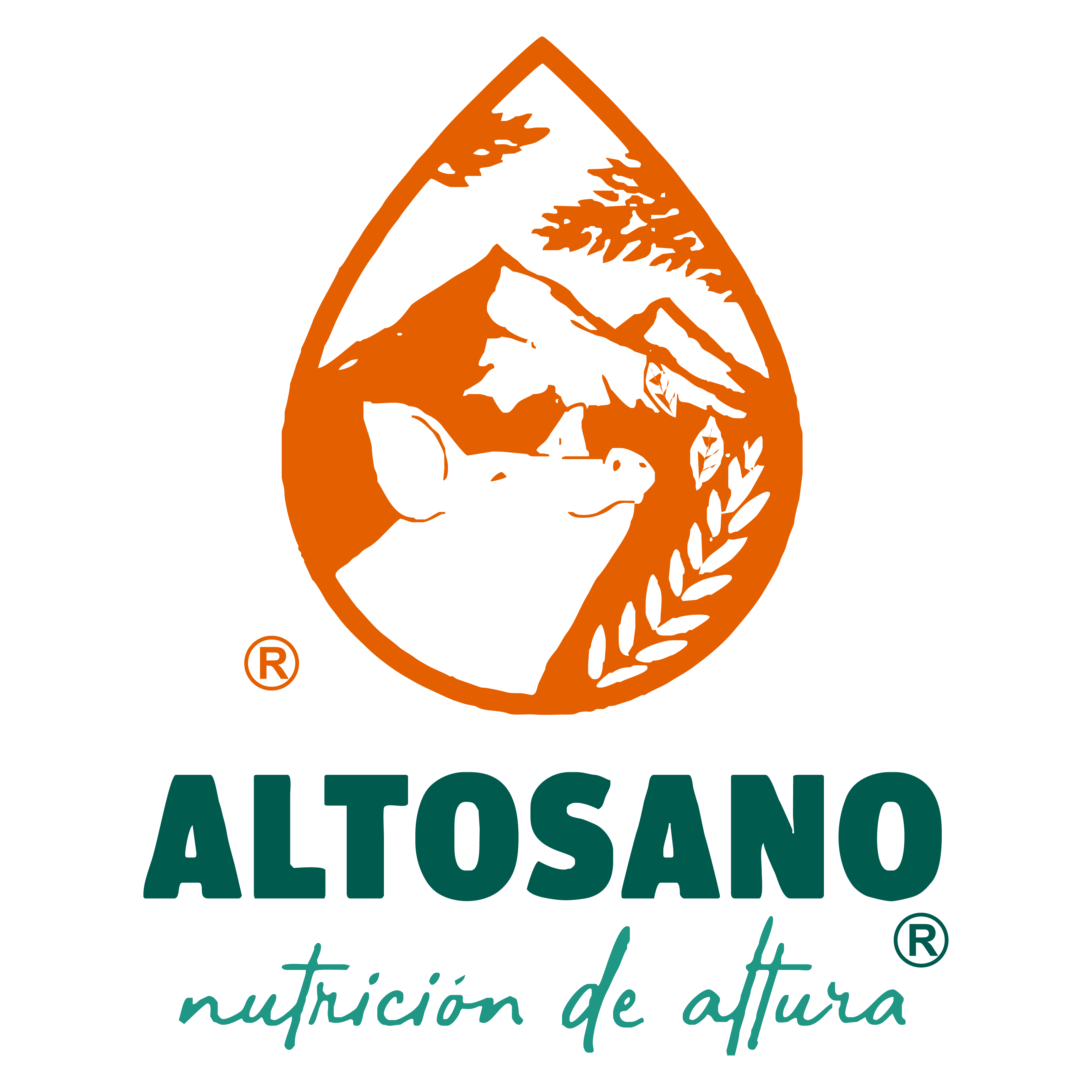 Caso de éxito de Altosano: creando respaldos de seguridad